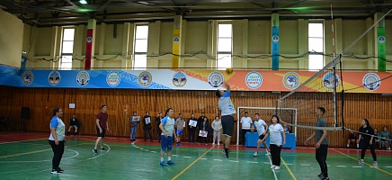 Volleyball tournament among archivists фото галереи 12